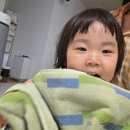 [집들이선물 추천] 씨그라운드 어반네이처 감성 수건 후기 (ft. 예쁨주의)