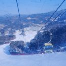 한체대 석사 태권도 이미지