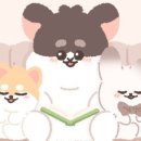 하찌상점