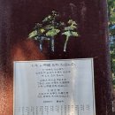 하동송림공원매점