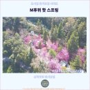난터우 호텔 추천 : M후위 핫 스프링 호텔 후기