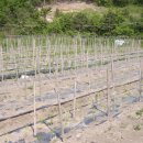 옥터농장 이미지