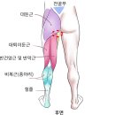 +말 많음 주의+ 린온발레 10회 + 개인레슨 2회 후기