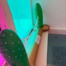 수와키 | 제주풀빌라, 자연과 함께 힐링하고 싶은 분들께 소개 드리고 싶은 곳 '수와키'