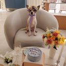 오간식 영등포점 이미지