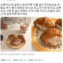 호두마루 이미지