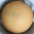 호암농장 이미지