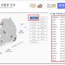 특급노래방주점 이미지