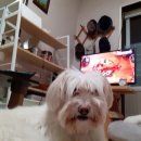 산성우1리 이미지