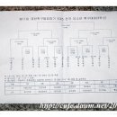 [전국] 제11회 대한축구협회장기 7대7 전국유소년축구대회(2008/11/07~11/14)3학년 신정B팀 우승 이미지