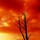 순리대로내몸건강 이미지