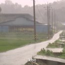 전국에 폭우 사망·실종자 43명..축구장 2만여개 농지 침수 이미지