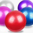 버스트 GYM 이미지