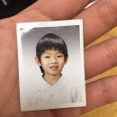 뜨거운 여름을 보내는 중이고 (개)