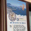 굴세상 | 굴국밥부터 굴부침까지 인천 학익동 굴세상 메뉴 후기