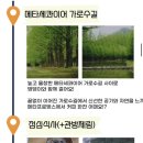 혜성관광 이미지