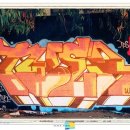 tyer 이미지