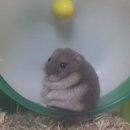 인생난바