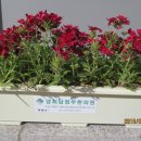 경희남정우한의원 이미지