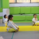 용호태권도 이미지
