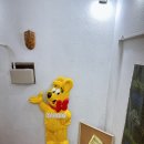 어쏘워트