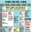 답십리 오페라 학원: 최강강사와 댄스스포츠 "월회원제" 1:1 레슨으로 속성 마스터 하기!! 이미지