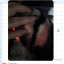샵코인노래연습장 네이버블로그