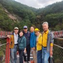 두 Y자(평일) 이미지