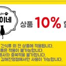 진영냥이 이미지