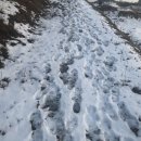 너.애.개 이미지