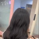 살롱뉴뉴