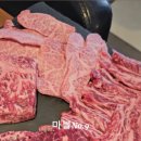 마블넘버나인(No9) 이미지