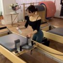 몸에 봄을 피우다 이미지