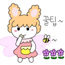 국수나무원주