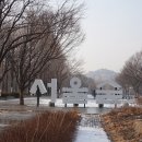 서울 숲 겨울에 보기 이미지