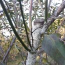 고선농장 이미지