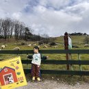 현우목장(2) 이미지