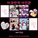 사과나무사진관