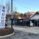 호박하다257