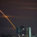 본토 티스토리