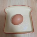 신풍낙지(주) 이미지