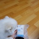 강아지수제간식, 강아지눈병 마이펫닥터 &#34;모닉아이즈&#34;