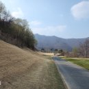 충주세일cc 산길코스 봄라운딩