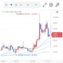 선기로1-3 이미지