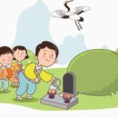 코코(coco) 이미지