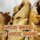 산호대로-43 네이버블로그