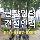 제일건축인력 이미지