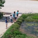 도림민박 이미지