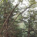 오동근린공원 이미지