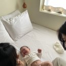 자미재 네이버블로그